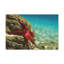 No Frame Print on Canvas-248878473
