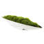 Faux Moss Grass in Metal Boat Tray