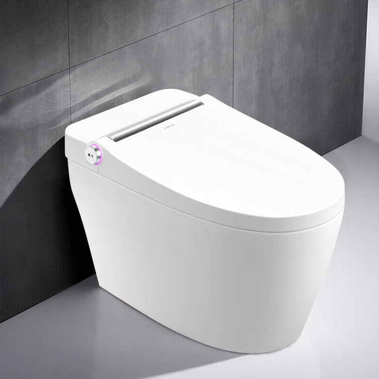 Cosvalve 1.28 GPF (Water Efficient) Elongated One-Piece Toilet (Seat Included)