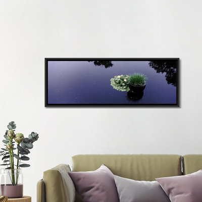 " Water Lilies With A Potted Plant In A PondOlbrich Botanical Gardens, Madison, Wisconsin, USA " by Panoramic Images