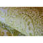 Tropical Collection Tahiti Inspired Damask 27.8' L x 27.5" W Wallpaper Roll-73445593