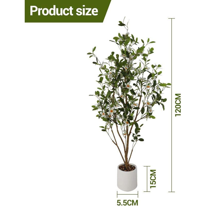 120cm Plant