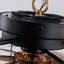 Ventilateur de plafond à télécommande en noir, 19 po, avec flux d'air saisonnier, moteur à courant continu, éclairage DEL