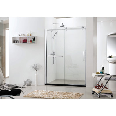 Porte de douche coulissante simple l 52 po x H 79 po