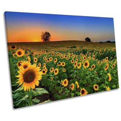 Sunflowers Sunset Landscape - Wrapped Canvas Print