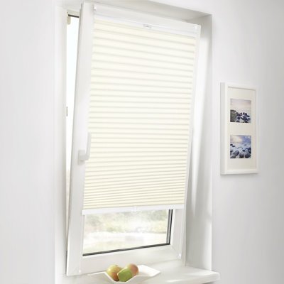 Blackout Pleated Blind