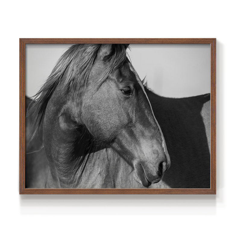 Cheval sauvage de Flint Hills - impression encadrée - réarmable, 22" H x 28" W, Noyer