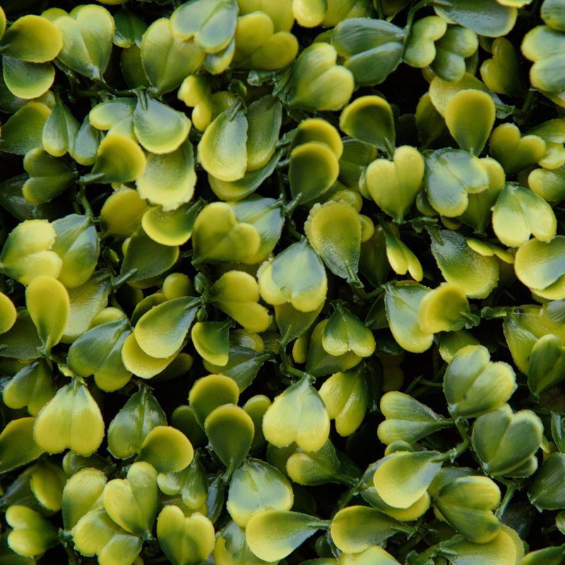 Anisha 5cm H x 50cm W Green Polyethylene Plastic Fence Panels Included