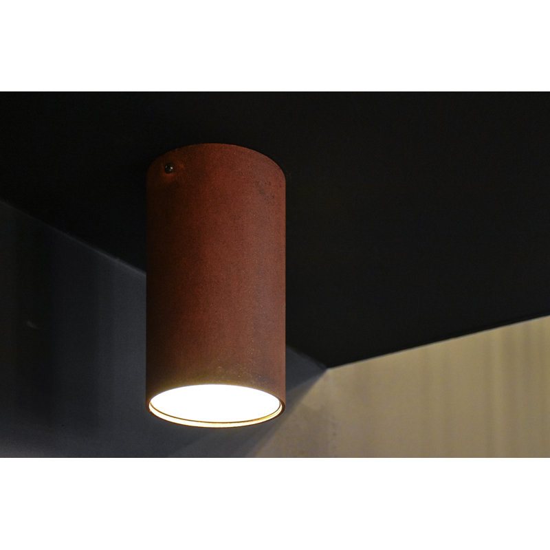 Plafonnier industriel Roest