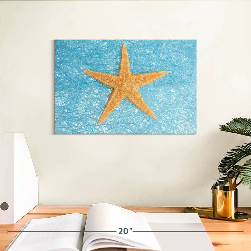 Unique starfish Aletra, H 8 po x l 12 po
