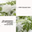 Outdoor Cushion Outdoor 4'' Seat Cushion-2013207928