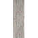 Aratrika Floral Gray Area Rug