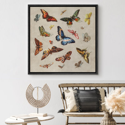 «Vintage Vibrant Butterfly Wilderness Illustration Rustic French Country»
