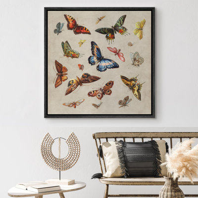 Animals " Vintage Vibrant Butterfly Wilderness Illustrations Rustic French Country "