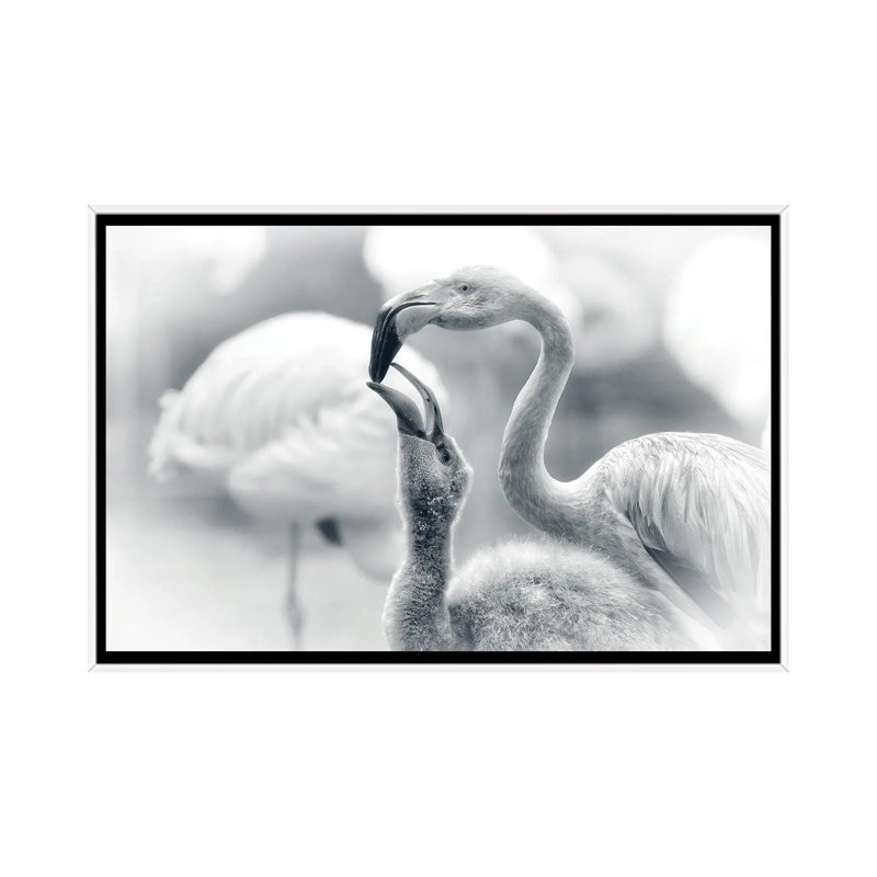 Feeding by Bragi Ingibergsson - Print on Canvas