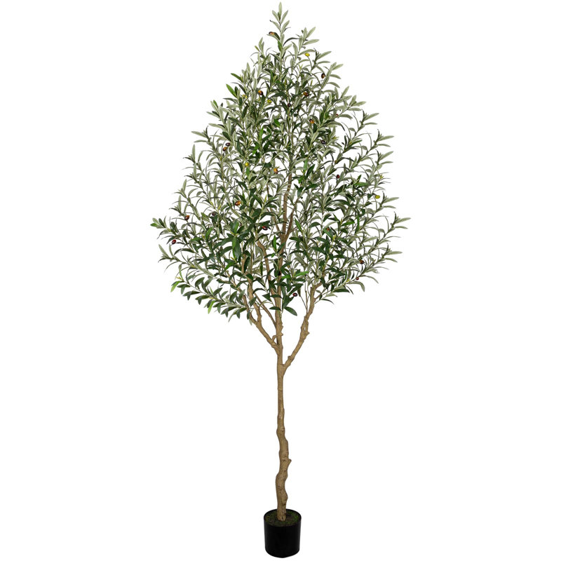 Olive Tree Artificial Indoor