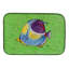 Tapis tropical pour le séchage des poissons-29462437