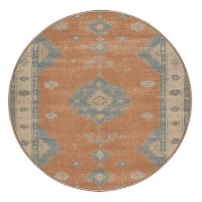 Machine Washable Overdyed Brown Area Rug