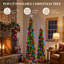 Fir Christmas Tree-99670389