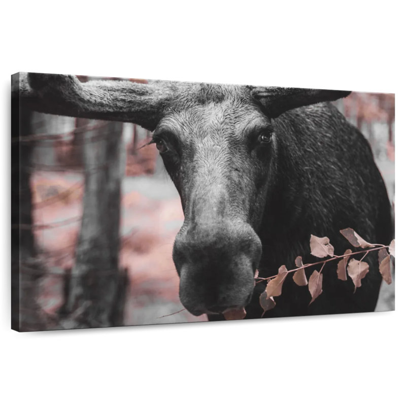 Black Moose, 32" H x 48" W
