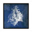 «Navy Shell II», impression sur toile-31291394-73207342-73198050