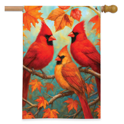 Fall Cardinal Trio House Flag 28x40