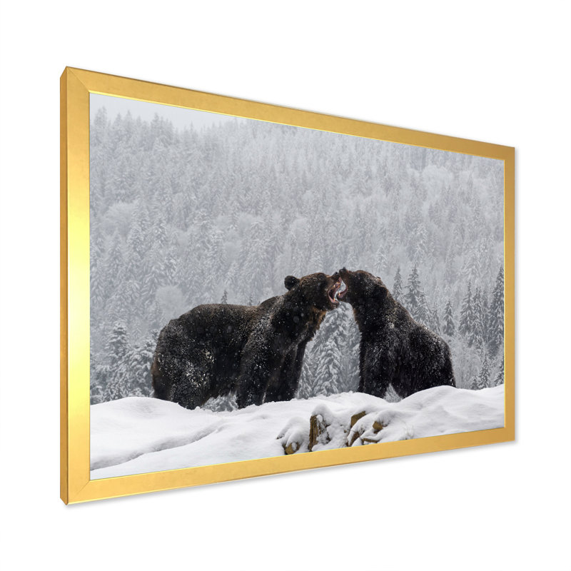 «Two Angry Brown Bear Fight in Winter Forest», reproduction sur toile, H 34 po x l 44 po, Encadrement doré