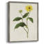 «Flowers of the Seasons», reproduction encadrée en bois massif-455269967