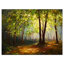 « summer forest landscape », reproduction d’art sur toile tendue-16485962-33230327