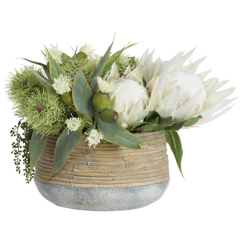 Protea / eucalyptus en pot de ciment vert crème