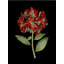Art sur toile tendue Astoria-2071040532