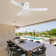 Nicola 52" 3 - Blade Ceiling Fan without Lights