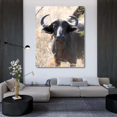 «Gracie Oaks Underdahl», art sur toile tendue par Dana Gallery: Cape Buffalo I