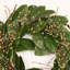 Couronne de feuilles de magnolia artificielle 24 po 24 po-1582586607