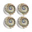Nautilus Pearl Vegan Leather Round Coasters