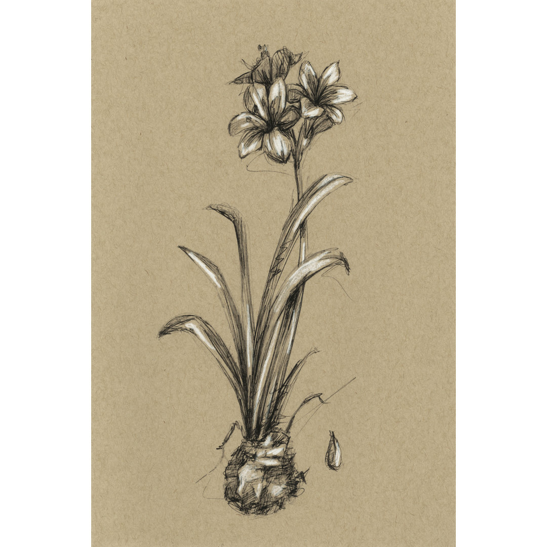 Leinwandbild Botanical Sketch B&W II