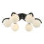 Analis Glass Flush Mount