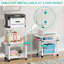 76 cm H x 38 cm W Printer Stand