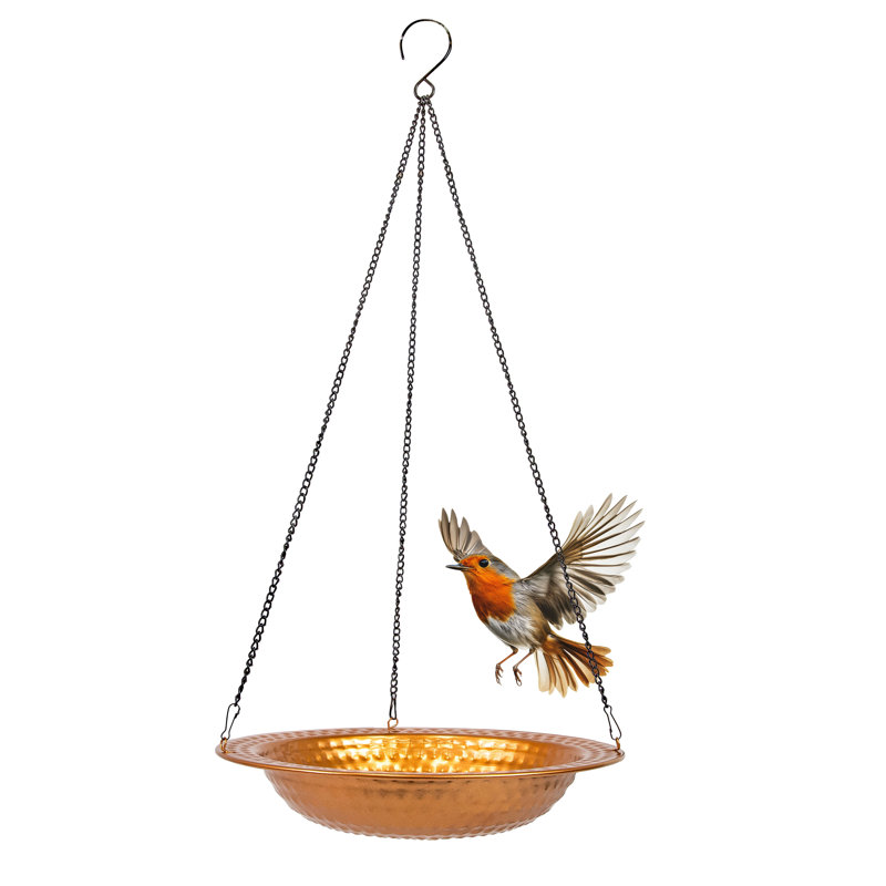 Bol pour bain d'oiseaux suspendu en fer