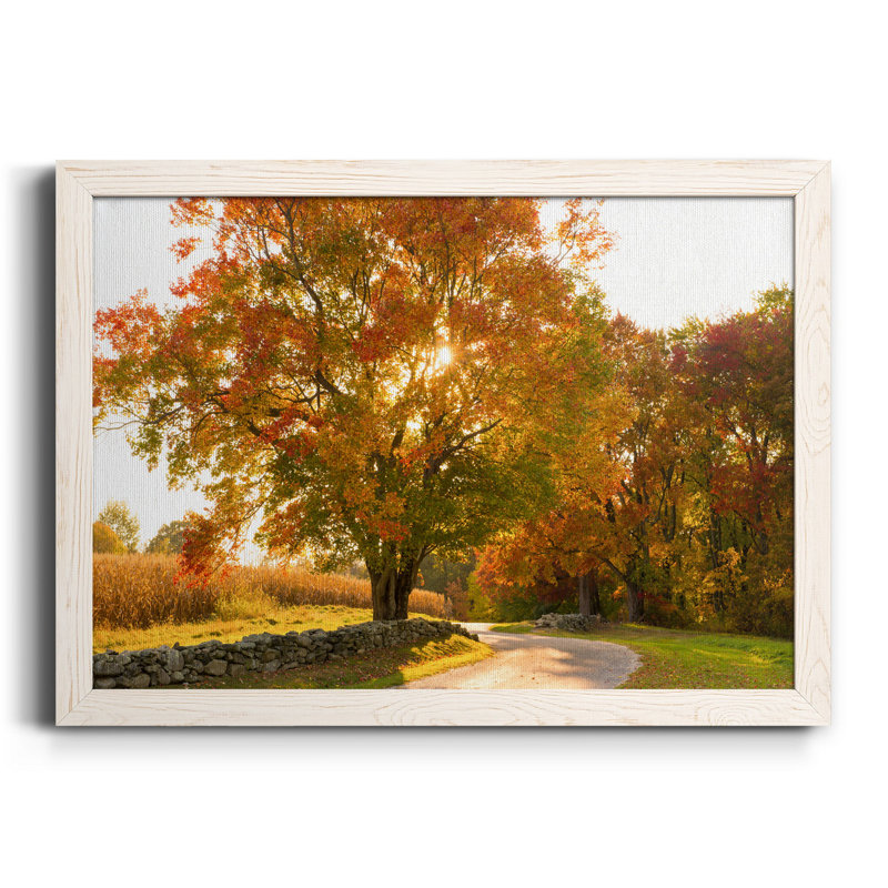 «Maple Tree Drive» - Toile encadrée de qualité supérieure - prête à être accrochée, H 20 po x l 17 po x P 1,5 po, Blanc