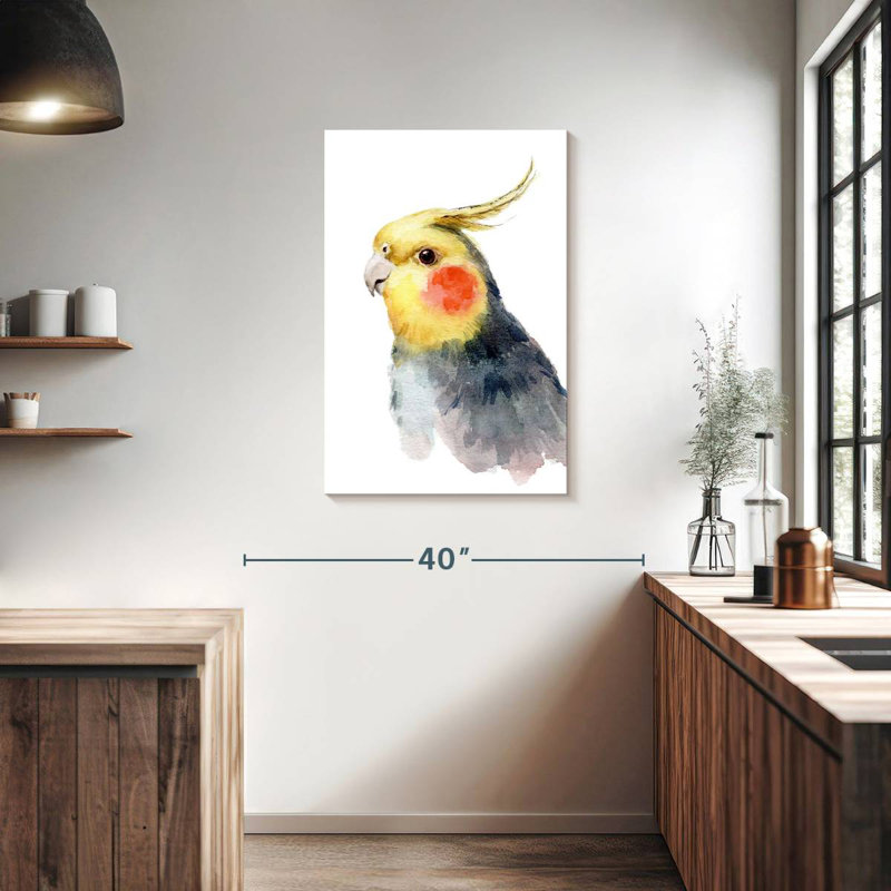 Mignon perruche Brampt, H 36 po x l 24 po