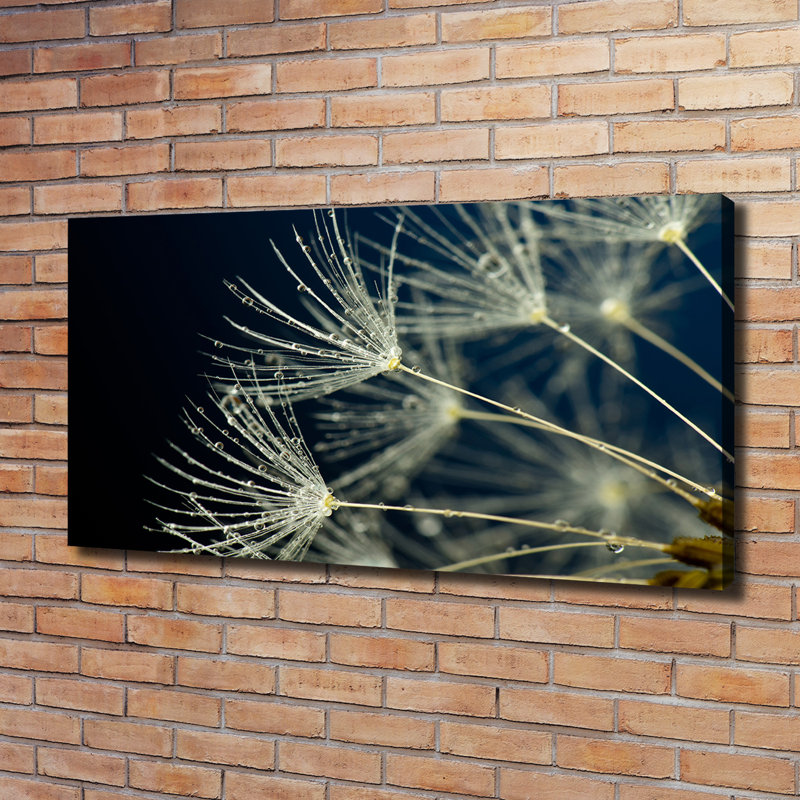 Dandelion Seeds - No Frame Print on Canvas
