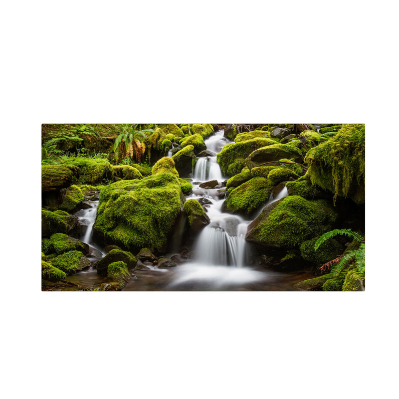 « green mousse stream », reproduction de photo sur toile tendue, H 12 po x l 24 po x P 2 po