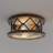 2-Light Flush Mount Ceiling Light