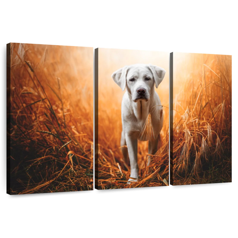 Lost Labrador Retriever, 20" H x 33" W