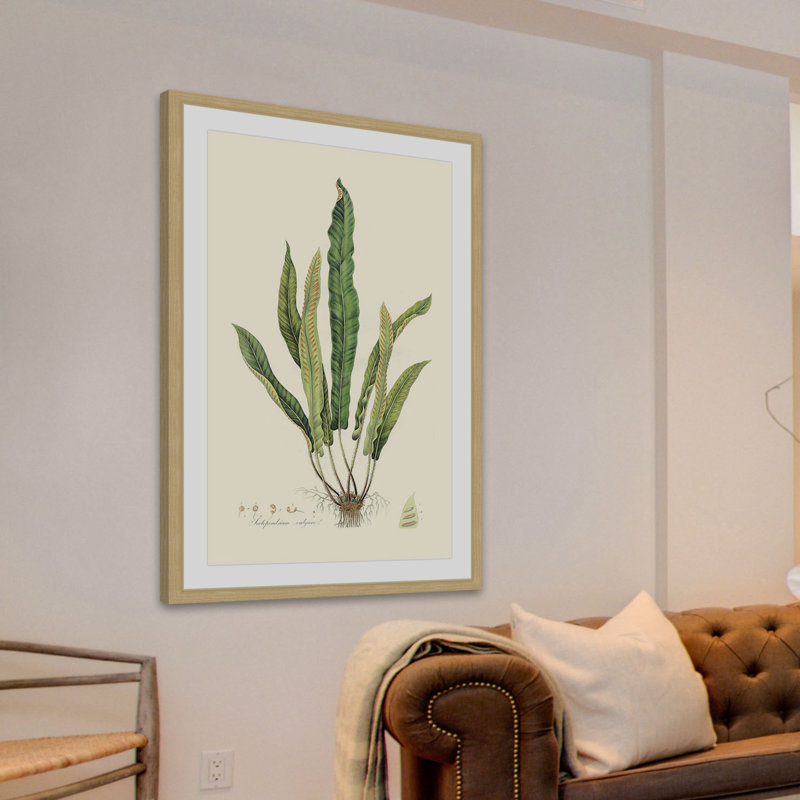 «Curtis Ferns VI», reproduction encadrée, H 18 po x l 12 po x P 1,5 po