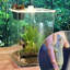 Cage de terrarium en acrylique reptile