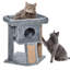Leroy 144.78cm H Cat Tree