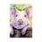 Smiling Pig by George Dyachenko - Wrapped Canvas Painting-564484591