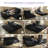 Boneless Convertible Sleeper Sofa Bed, Foldable Floor Couch No Assembly-454246911
